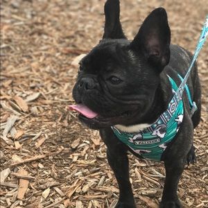 Meet your Posher, Katlin